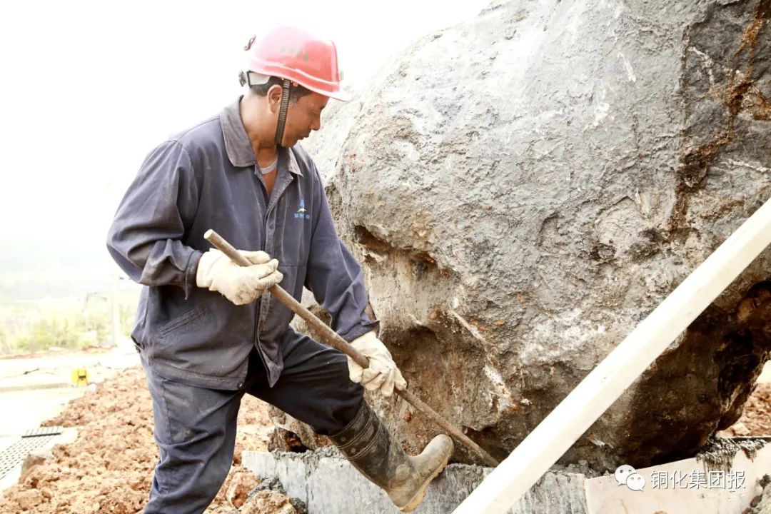 太阳城官网(中国)集团有限公司