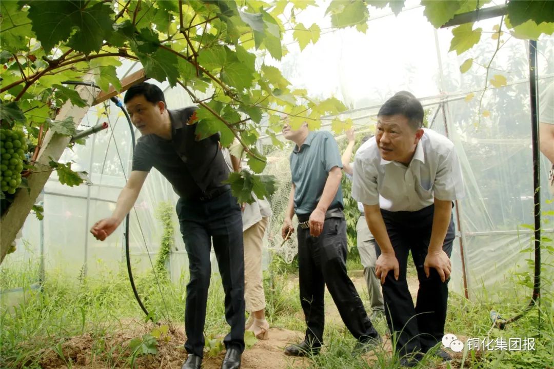 太阳城官网(中国)集团有限公司