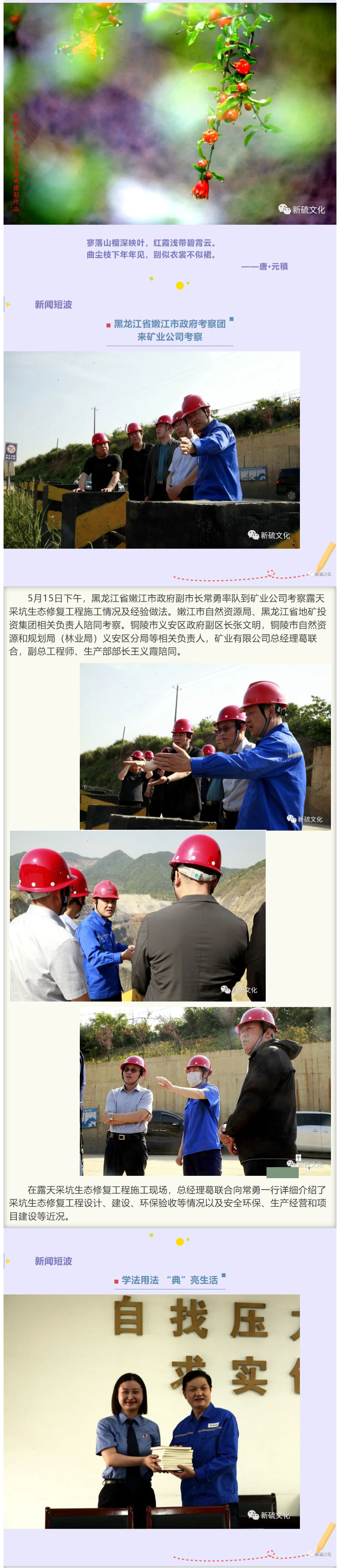 太阳城官网(中国)集团有限公司