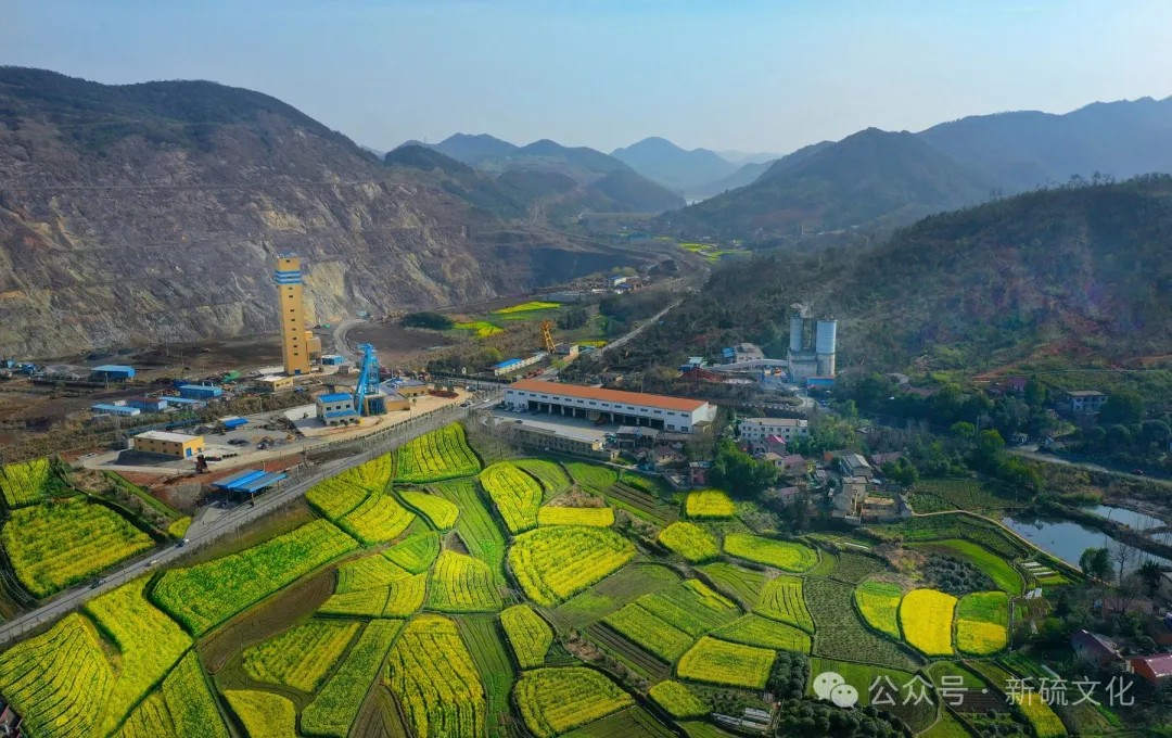 太阳城官网(中国)集团有限公司