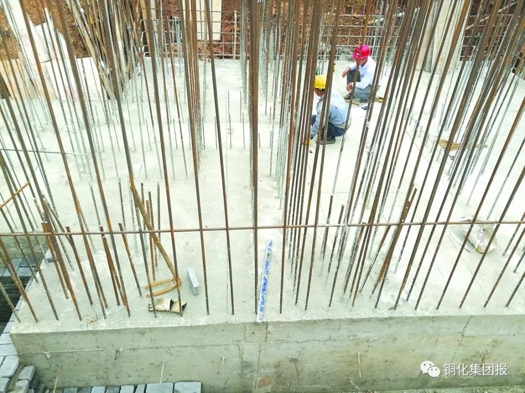 太阳城官网(中国)集团有限公司