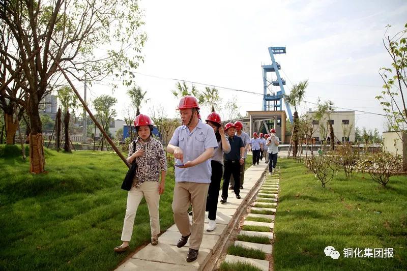 太阳城官网(中国)集团有限公司