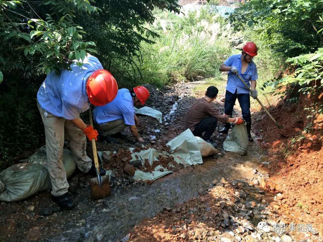 太阳城官网(中国)集团有限公司